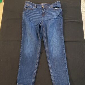 Talbots Classic Straight Leg Jeans in Rich Indigo